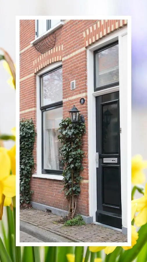 Vermeerhuisje Villa Delft 0*,